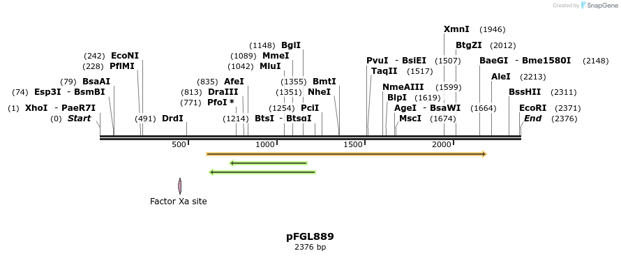81029_map