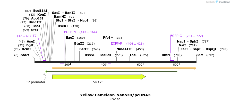 81032_map
