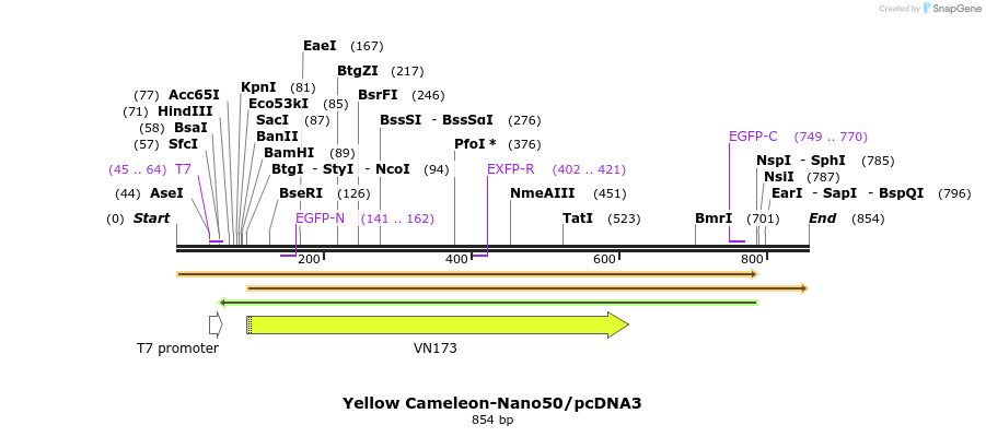 81033_map