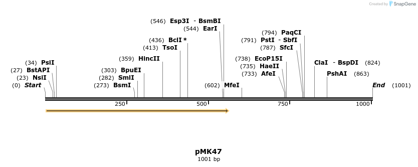 81034_map