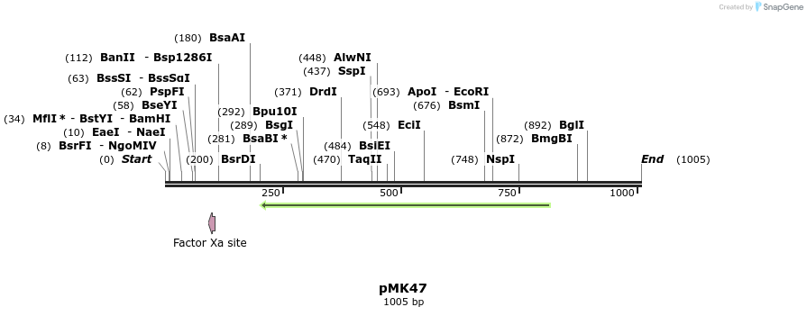 81036_map