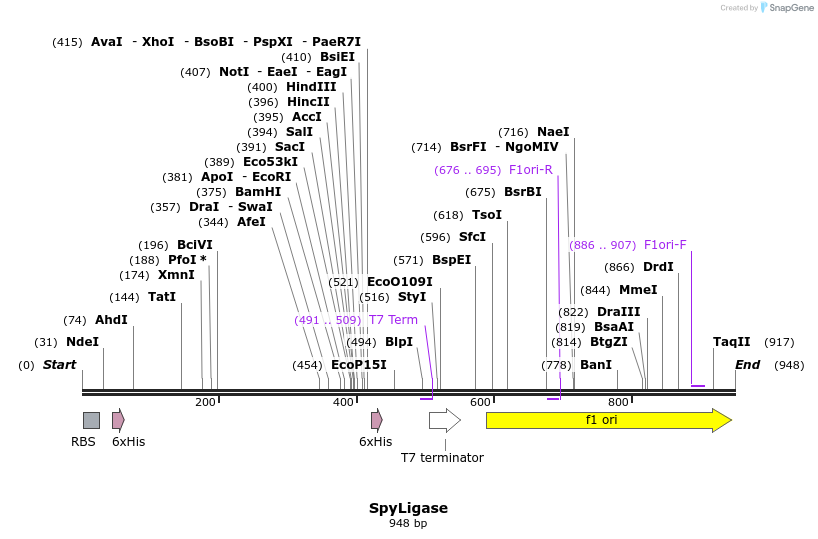 81038_map