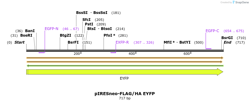 81043_map