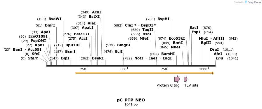 81046_map