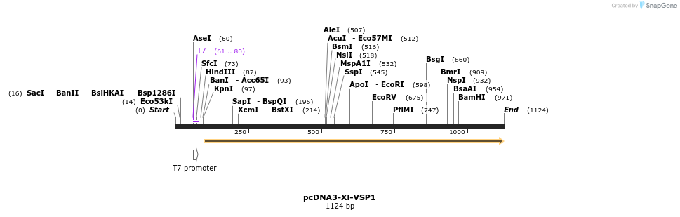 81078_map