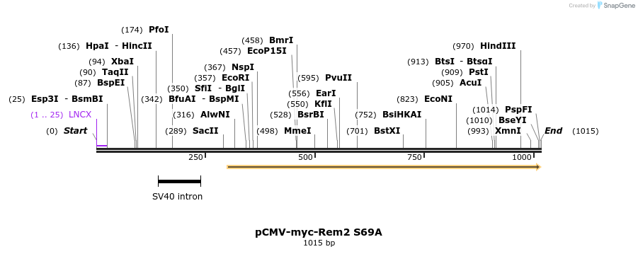 81082_map