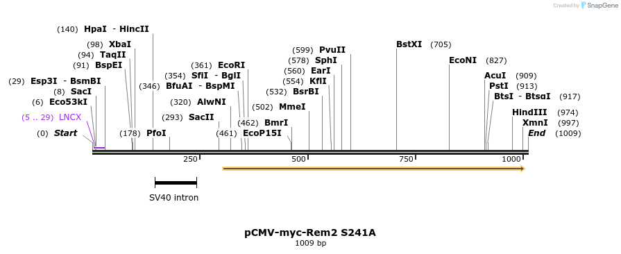 81083_map