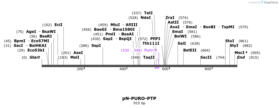 81085_map