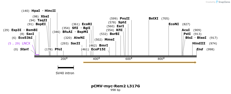 81086_map