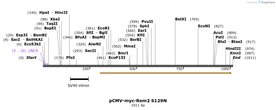 81089_map