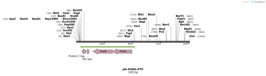 81090_map