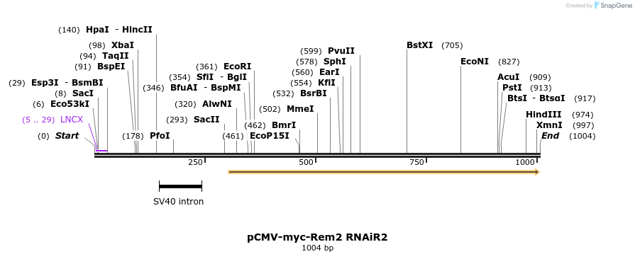 81091_map