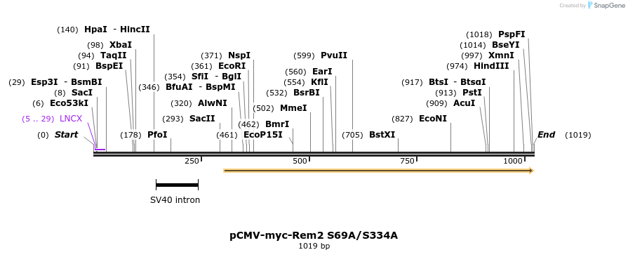 81094_map
