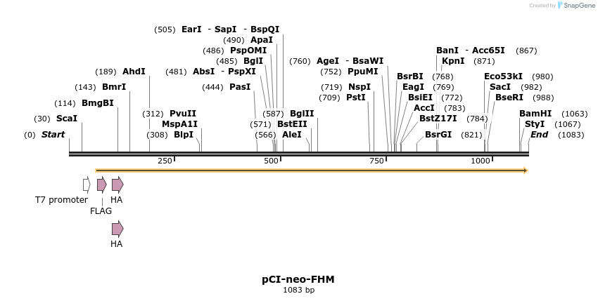 81126_map