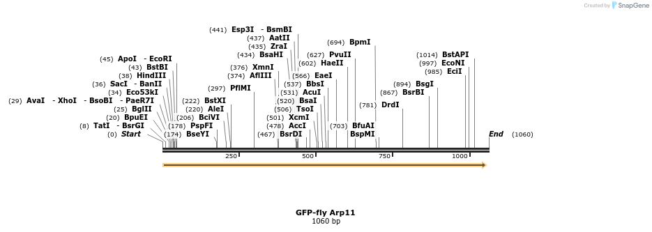 81127_map
