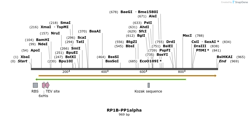 81128_map