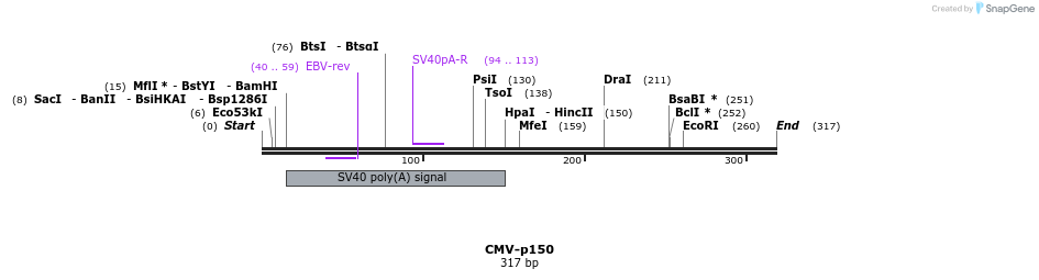 81130_map