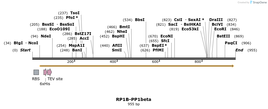 81140_map