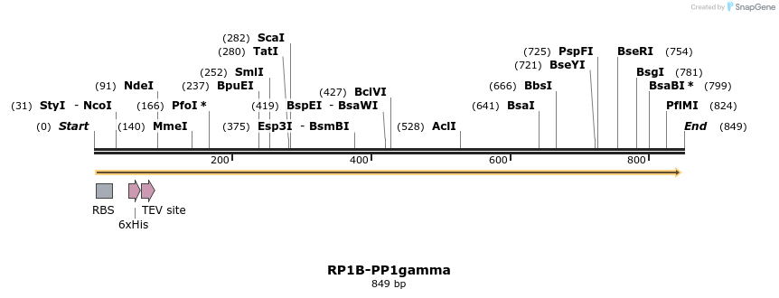 81143_map