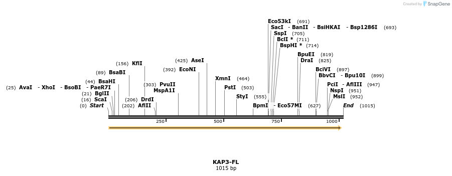 81144_map