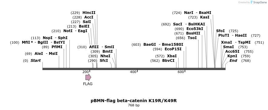 81146_map