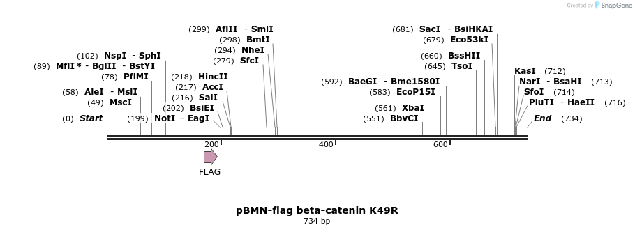 81148_map