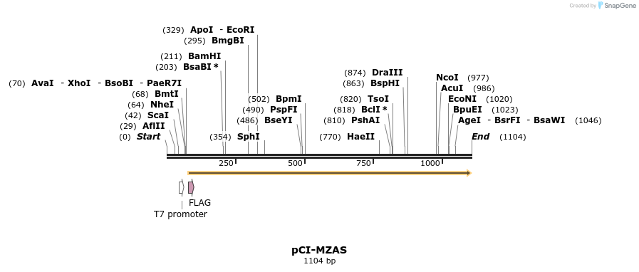 81154_map