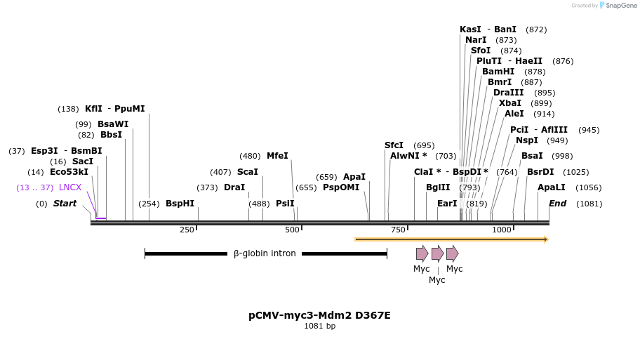 81169_map