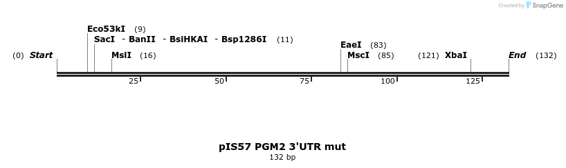 8117_map