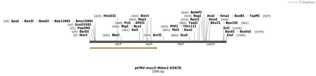81170_map