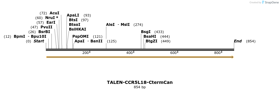 81176_map