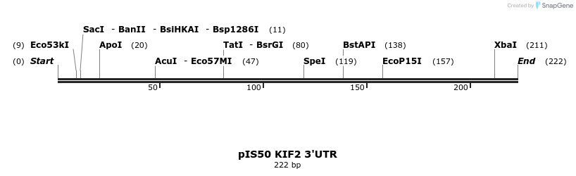 8118_map
