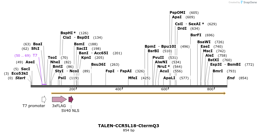 81181_map