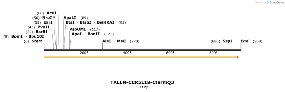 81183_map