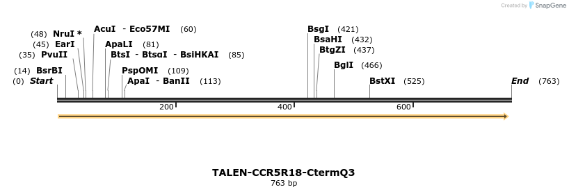 81185_map