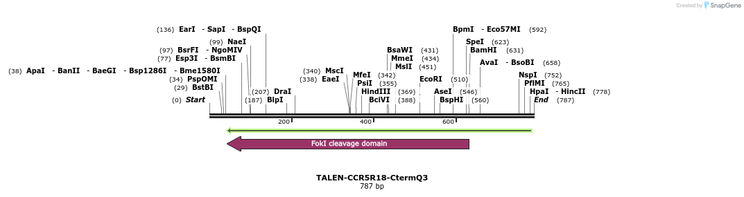 81186_map