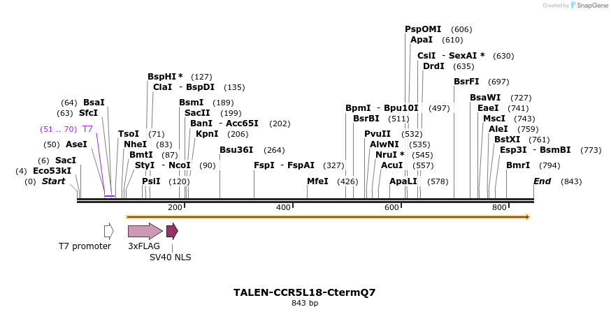 81187_map