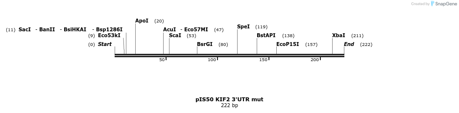8119_map