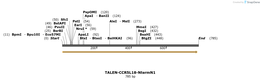 81195_map