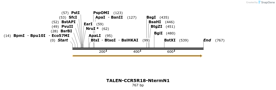 81198_map