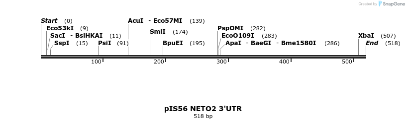 8120_map