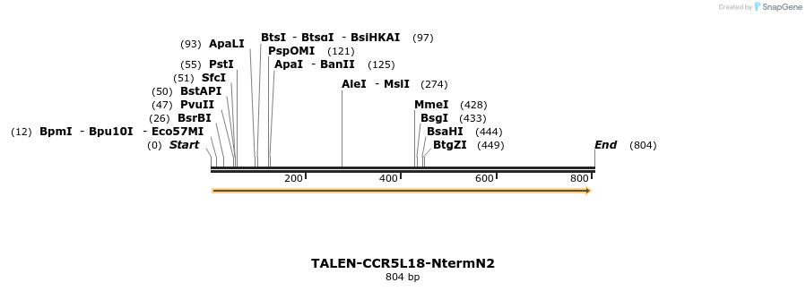 81201_map