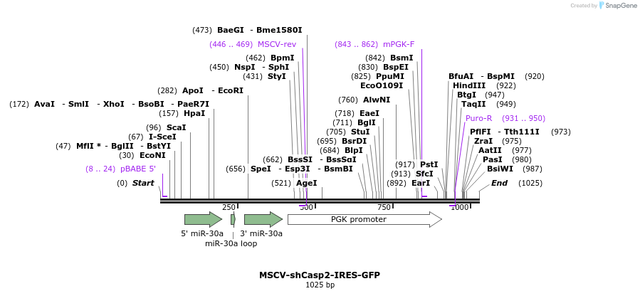 81202_map