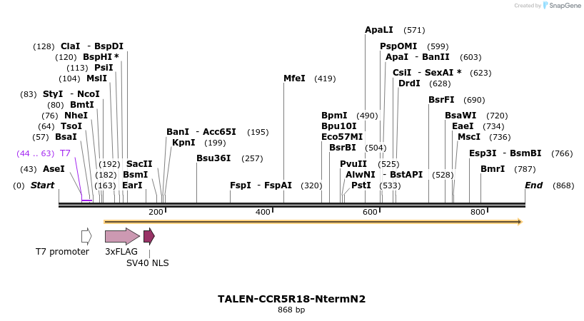 81204_map