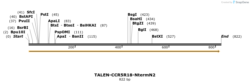 81205_map