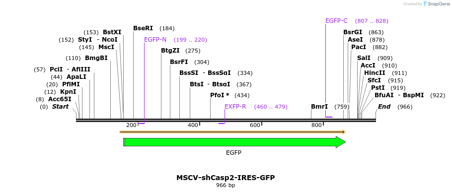 81208_map
