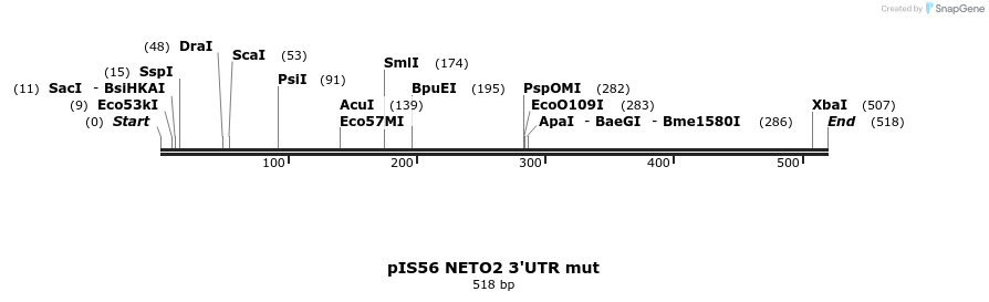 8121_map