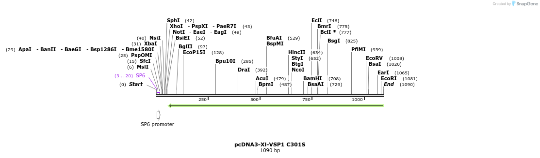 81213_map