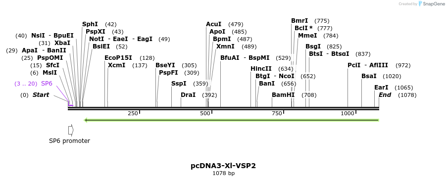 81214_map