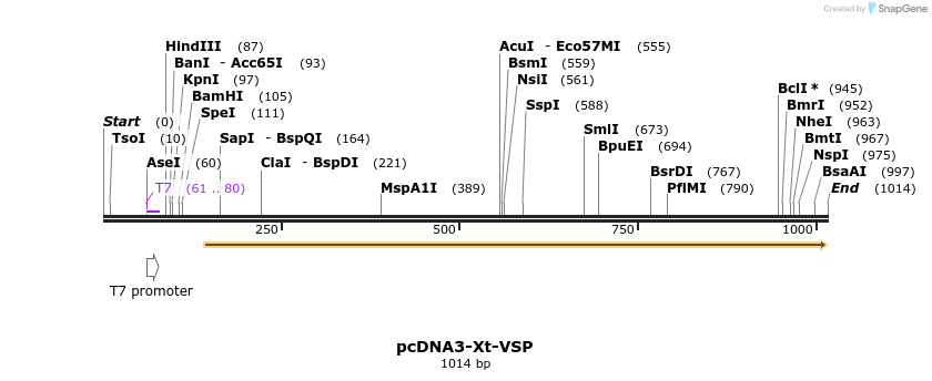 81215_map